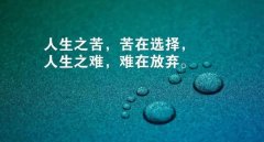 做网站价格报价费用多少钱